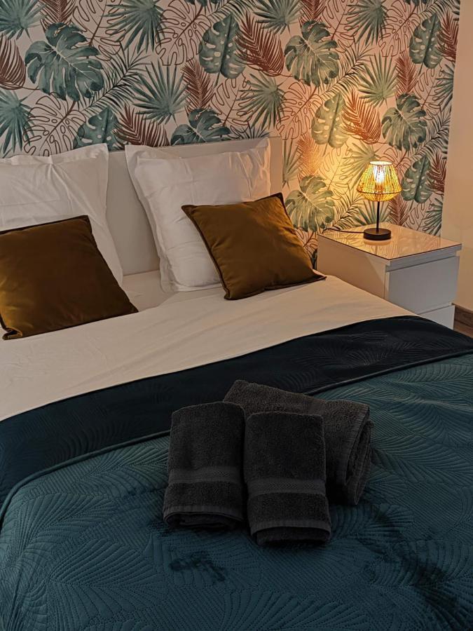 O Loft - 3 Chambres Avec 3 Salles De Bains - Parking - Climatisation アルビ エクステリア 写真