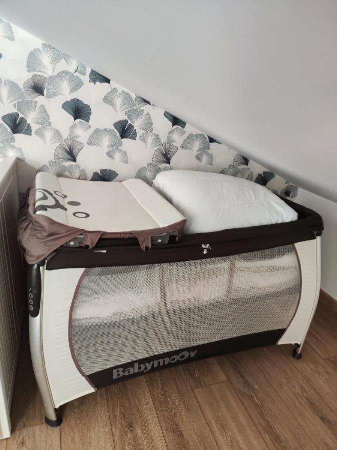 O Loft - 3 Chambres Avec 3 Salles De Bains - Parking - Climatisation アルビ エクステリア 写真