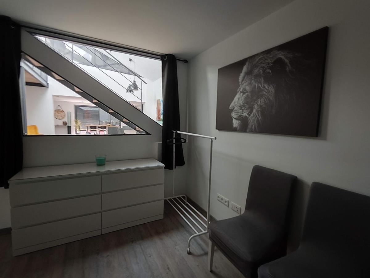 O Loft - 3 Chambres Avec 3 Salles De Bains - Parking - Climatisation アルビ エクステリア 写真