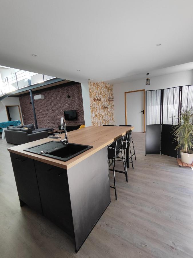 O Loft - 3 Chambres Avec 3 Salles De Bains - Parking - Climatisation アルビ エクステリア 写真